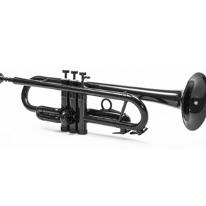 Hohner Marine Deluxe 2005/20 "D"