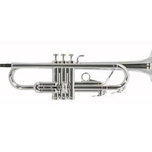Trompeta plateada