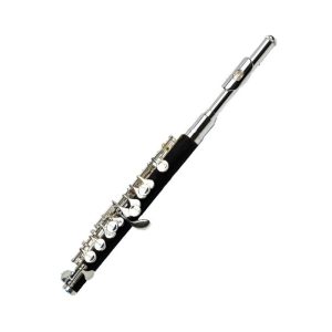 Flaut&iacute;n Gara Winds GPC-5