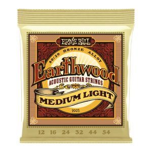 Ernie Ball 2003 Earthwood