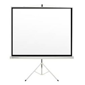 Pantalla manual 112" 2m x 2m