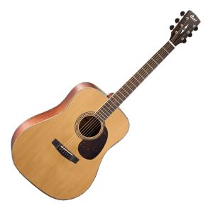 Cort Earth 100 Rosewood