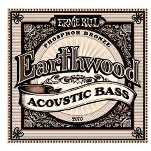 Ernie Ball Earthwood Acoustic Bass