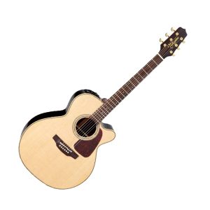 Takamine P5NC Pro Serie
