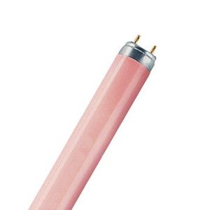 Tubo fluorescente Sylvania Rosa