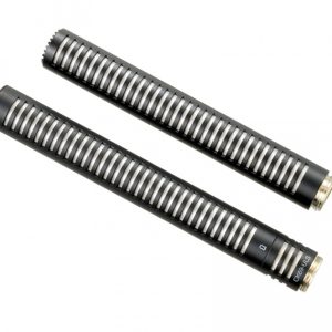 Rodec DJ Patinadores