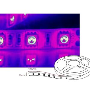 Tira Led Luz negra o Ultravioleta