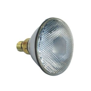 Showtec Par 38 E27 Blanco