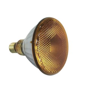 Showtec Par 38 E27 Amarillo